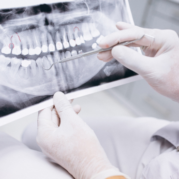 School Of Dentistry